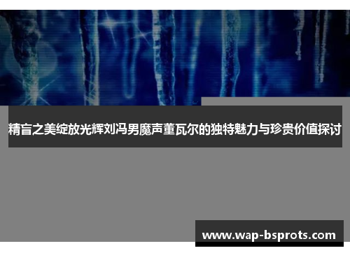 精盲之美绽放光辉刘冯男魔声董瓦尔的独特魅力与珍贵价值探讨