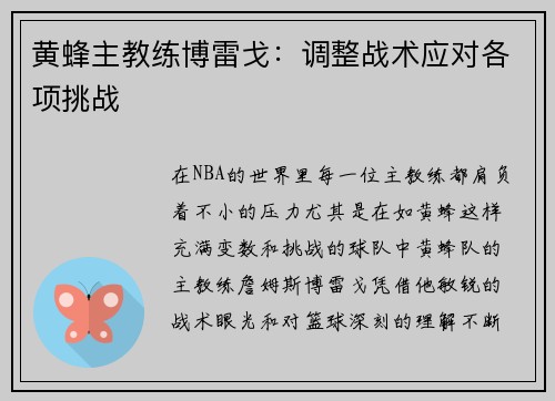 黄蜂主教练博雷戈：调整战术应对各项挑战