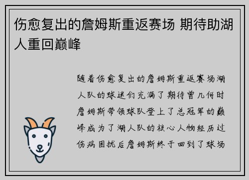 伤愈复出的詹姆斯重返赛场 期待助湖人重回巅峰